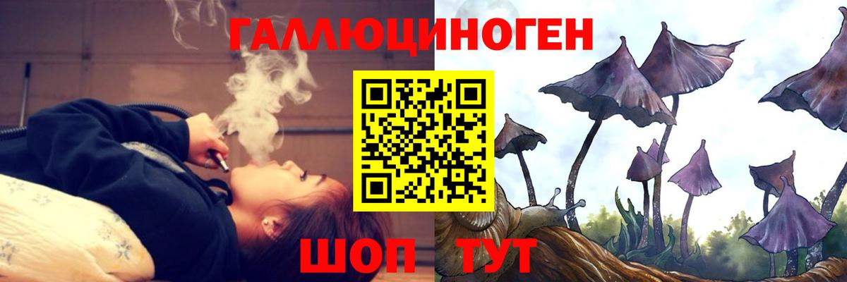Псилоцибиновые грибы Psilocybe  Вход с VPN  Псилоцибиновые грибы ЛСД  Россия 